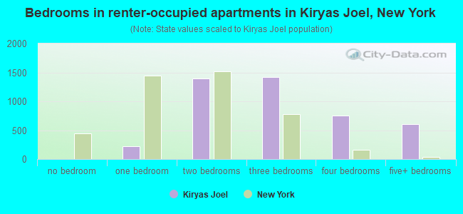 Bedrooms in renter-occupied apartments in Kiryas Joel, New York