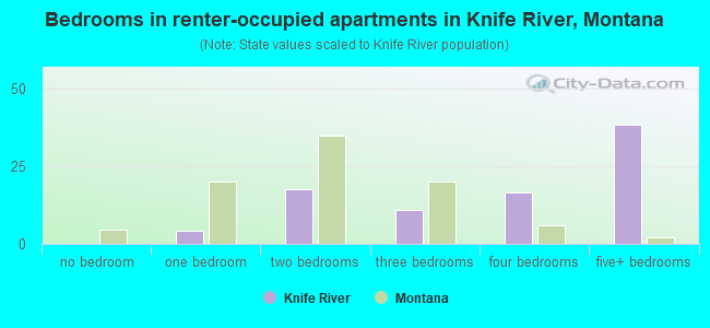 Bedrooms in renter-occupied apartments in Knife River, Montana