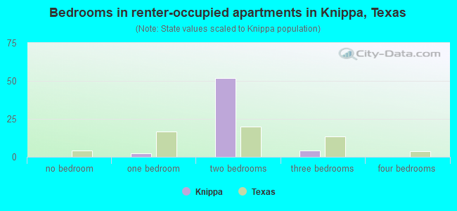 Bedrooms in renter-occupied apartments in Knippa, Texas