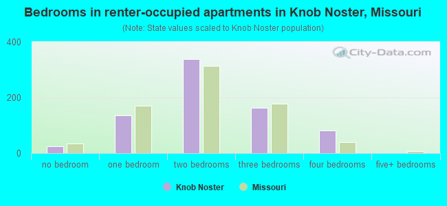Bedrooms in renter-occupied apartments in Knob Noster, Missouri