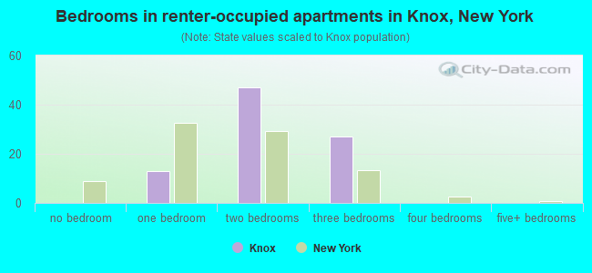Bedrooms in renter-occupied apartments in Knox, New York