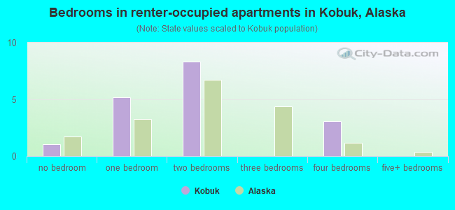 Bedrooms in renter-occupied apartments in Kobuk, Alaska