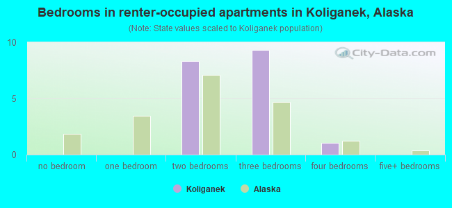 Bedrooms in renter-occupied apartments in Koliganek, Alaska