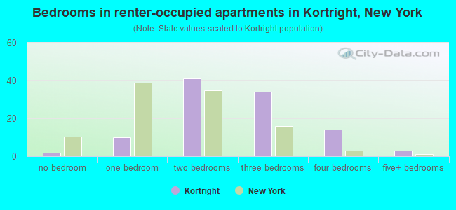 Bedrooms in renter-occupied apartments in Kortright, New York