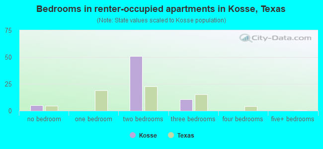 Bedrooms in renter-occupied apartments in Kosse, Texas