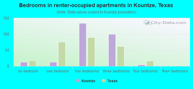 Bedrooms in renter-occupied apartments in Kountze, Texas