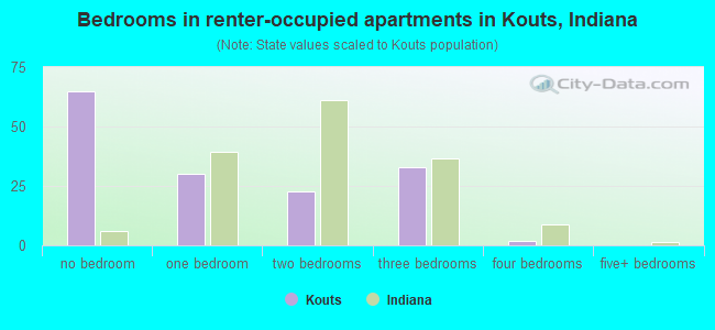 Bedrooms in renter-occupied apartments in Kouts, Indiana