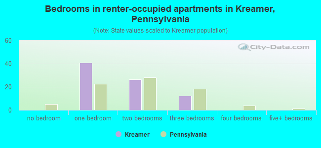 Bedrooms in renter-occupied apartments in Kreamer, Pennsylvania