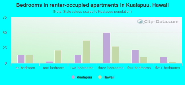 Bedrooms in renter-occupied apartments in Kualapuu, Hawaii