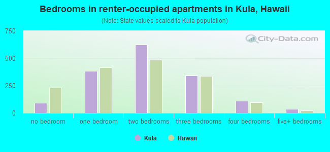 Bedrooms in renter-occupied apartments in Kula, Hawaii