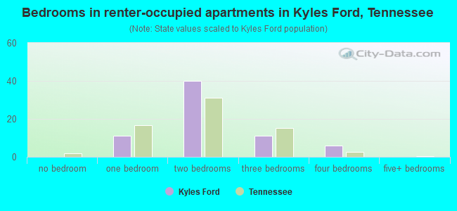 Bedrooms in renter-occupied apartments in Kyles Ford, Tennessee