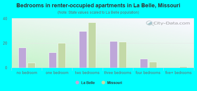 Bedrooms in renter-occupied apartments in La Belle, Missouri
