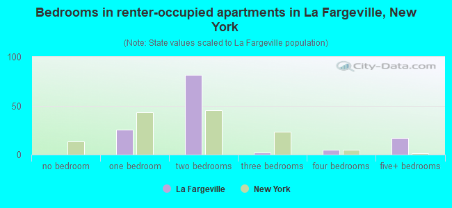 Bedrooms in renter-occupied apartments in La Fargeville, New York