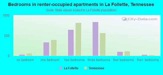 Bedrooms in renter-occupied apartments in La Follette, Tennessee