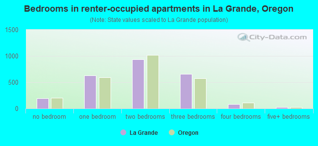 Bedrooms in renter-occupied apartments in La Grande, Oregon