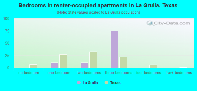 Bedrooms in renter-occupied apartments in La Grulla, Texas