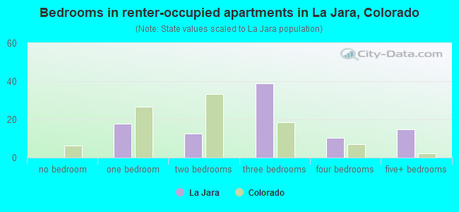 Bedrooms in renter-occupied apartments in La Jara, Colorado