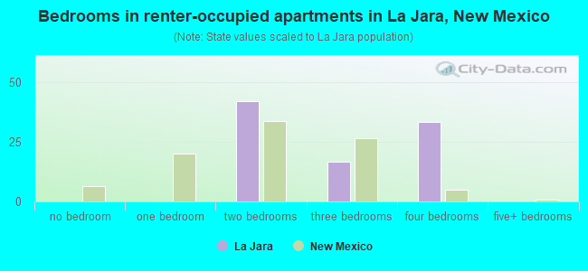 Bedrooms in renter-occupied apartments in La Jara, New Mexico