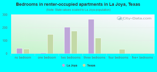 Bedrooms in renter-occupied apartments in La Joya, Texas