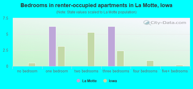 Bedrooms in renter-occupied apartments in La Motte, Iowa