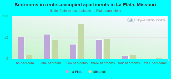 Bedrooms in renter-occupied apartments in La Plata, Missouri