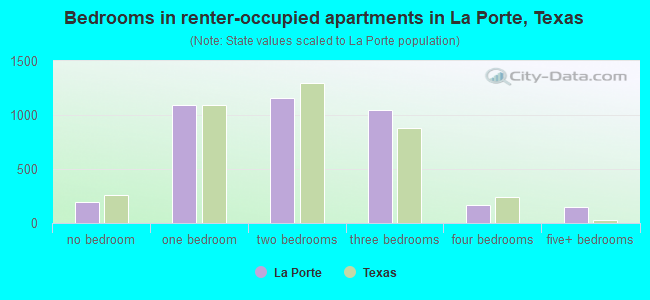 Bedrooms in renter-occupied apartments in La Porte, Texas