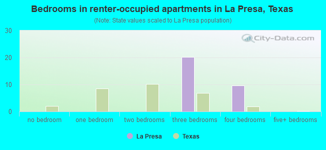 Bedrooms in renter-occupied apartments in La Presa, Texas