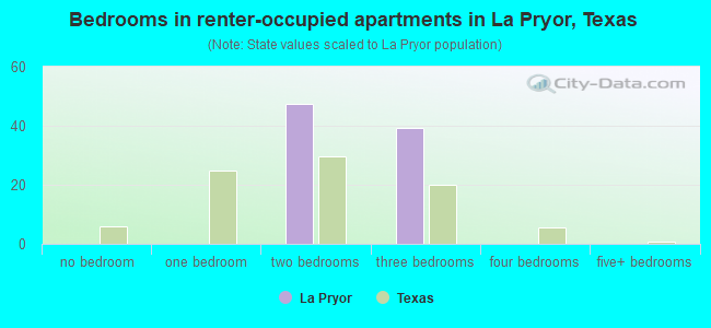 Bedrooms in renter-occupied apartments in La Pryor, Texas