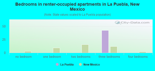 Bedrooms in renter-occupied apartments in La Puebla, New Mexico
