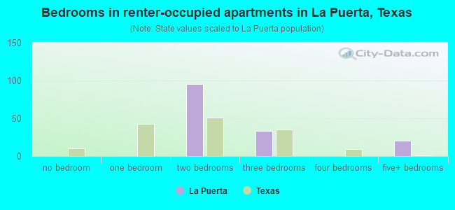 Bedrooms in renter-occupied apartments in La Puerta, Texas