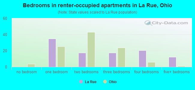 Bedrooms in renter-occupied apartments in La Rue, Ohio