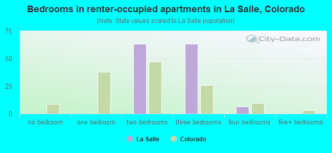 Bedrooms in renter-occupied apartments in La Salle, Colorado