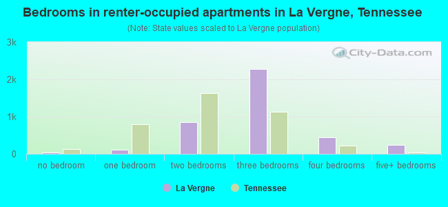 Bedrooms in renter-occupied apartments in La Vergne, Tennessee
