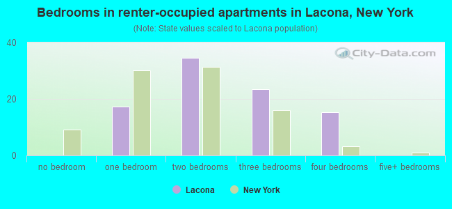 Bedrooms in renter-occupied apartments in Lacona, New York