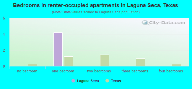 Bedrooms in renter-occupied apartments in Laguna Seca, Texas