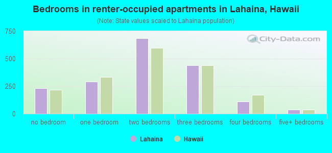 Bedrooms in renter-occupied apartments in Lahaina, Hawaii