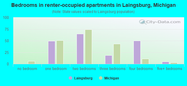 Bedrooms in renter-occupied apartments in Laingsburg, Michigan