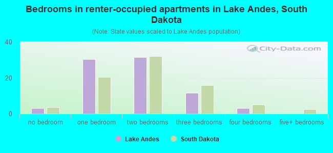 Bedrooms in renter-occupied apartments in Lake Andes, South Dakota