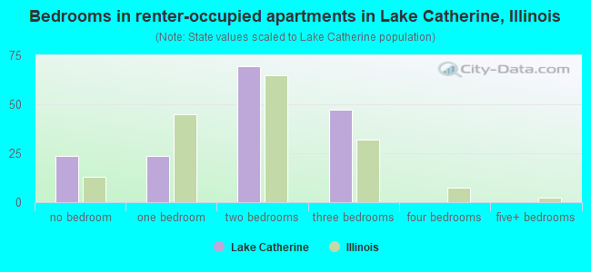 Bedrooms in renter-occupied apartments in Lake Catherine, Illinois