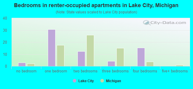 Bedrooms in renter-occupied apartments in Lake City, Michigan