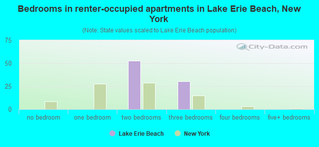 Bedrooms in renter-occupied apartments in Lake Erie Beach, New York