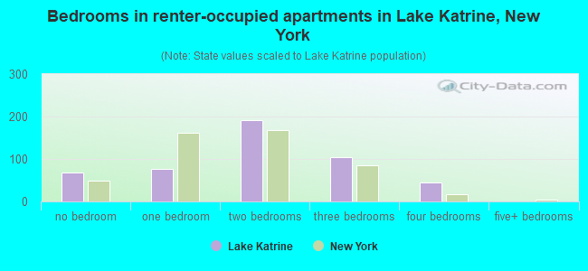 Bedrooms in renter-occupied apartments in Lake Katrine, New York