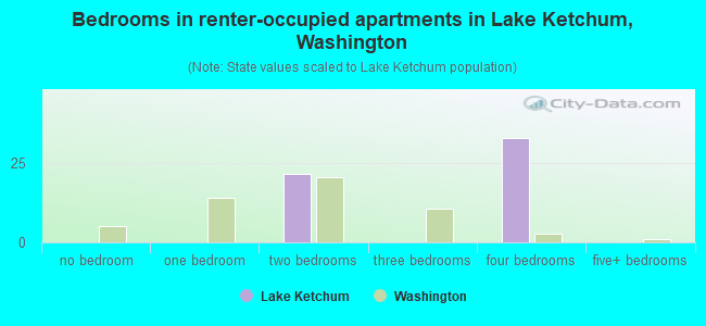 Bedrooms in renter-occupied apartments in Lake Ketchum, Washington