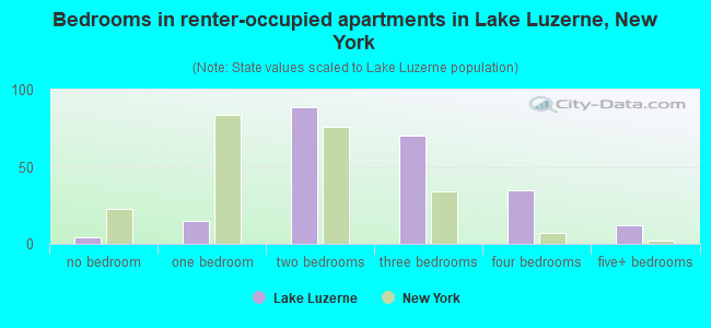 Bedrooms in renter-occupied apartments in Lake Luzerne, New York