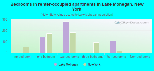 Bedrooms in renter-occupied apartments in Lake Mohegan, New York
