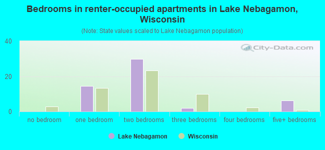 Bedrooms in renter-occupied apartments in Lake Nebagamon, Wisconsin