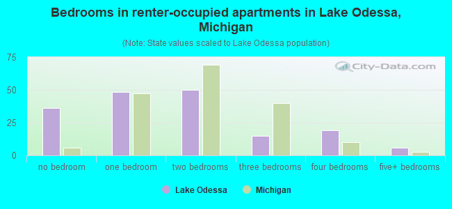 Bedrooms in renter-occupied apartments in Lake Odessa, Michigan