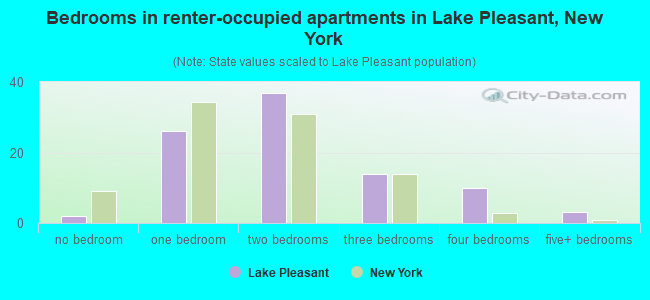 Bedrooms in renter-occupied apartments in Lake Pleasant, New York