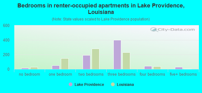 Bedrooms in renter-occupied apartments in Lake Providence, Louisiana