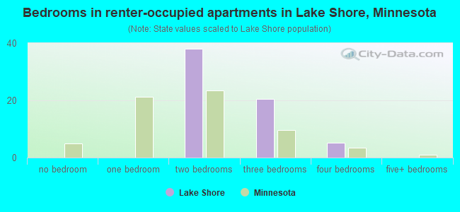 Bedrooms in renter-occupied apartments in Lake Shore, Minnesota
